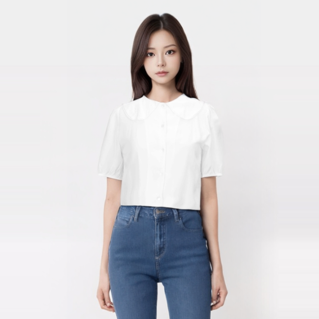 Wide Collar Puff  Sleeve Blouse